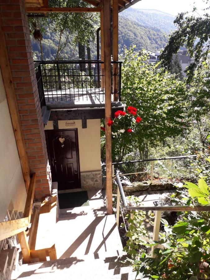 Apartament Tudor View Sinaia