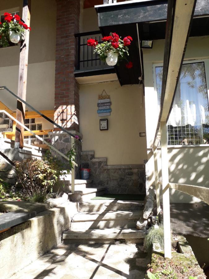 Tudor View Apartament