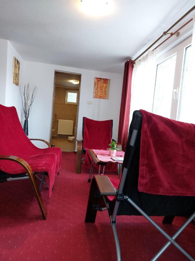 Tudor View Apartament *